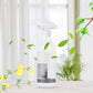 Mildew Removal Spray for Walls