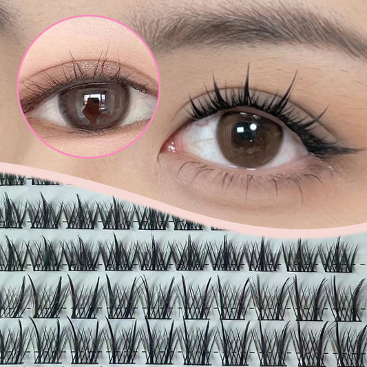 Dense Segmented Single Cluster False Lashes