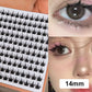Dense Segmented Single Cluster False Lashes